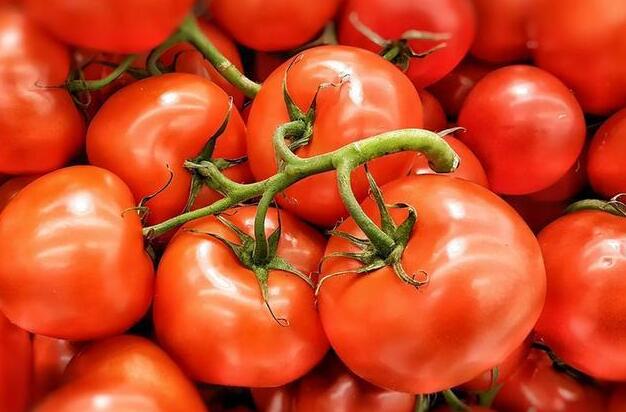 QQ截图20240420183257.jpg QQ截图20240420183257.jpg